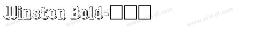 Winston Bold字体转换